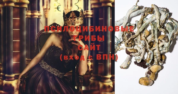 гашиш Дмитров